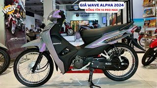 Giá Honda WAVE ALPHA 2024 Hồng Tím Cực Đẹp & Trả Góp Nhận CAVET GỐC 05/24 | Tuấn Hồng Đức 6