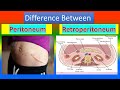 Difference between peritoneum and Retroperitoneum