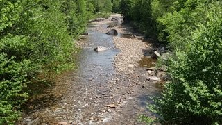 Rockhounding New Hampshire: The Zealand River