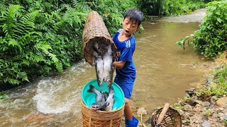 Set traps to catch fish, harvest bamboo shoots, and harvest catfish in small streams.