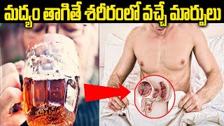 మందు తాగితే నిజంగానే క్యాన్సర్ వస్తుందా?|| How Alcohal Effect Our Body || Green Health