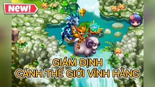 PVTK | GIÁM ĐỊNH CÁNH THẾ GIỚI VĨNH HẰNG BẰNG 125 CUỘN GĐ | QKN - PVTK