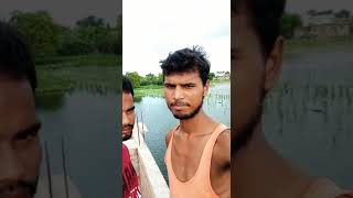 Bihar me badh ki kahar dariyapur village badhmua gaw me badh se fasal barbad kar diya