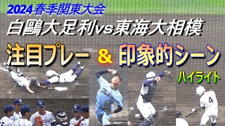 【2024春季関東大会】白鷗大足利vs東海大相模の注目のプレーや印象に残るシーンをピックアップ／Japanese high school baseball