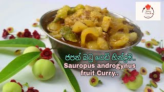 #JapanBatu #Villagefood #ආඬිබටු #SpicyTouch   Sauropus androgynus fruit curry  ජපන් බටු ගෙඩි හින්දුම