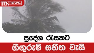 ප්‍රදේශ රැසකට ගිගුරුම් සහිත වැසි