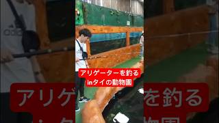 アリゲーターガーが釣れる動物園 ปลาจระเข้