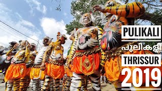 Pulikali 2019 | പുലികളി | Tiger Dance Thrissur