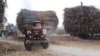 Belarus Tractor stunt | Belarus Tractors pulling 8 wheeler trailer loaded sugarcane in Punjab