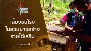 เลี้ยงชันโรงในสวนยางสร้างรายได้เสริม : ทุกทิศทั่วไทย (19 ม.ค. 65)