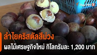 ลำไยคริสตัลสีม่วง ผลไม้เศรษฐกิจใหม่ กิโลกรัมละ 1,200 บาท : กินอยู่รู้รอบ (6 พ.ค. 65)