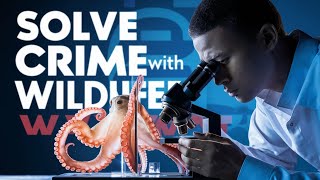 Solving Crimes with Wildlife Forensics is Mind-Blowing and Fascinating