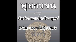 33.สัตว์กลับมาเกิดเป็นมนุษย์มีน้อย เพราะไม่รู้อริยสัจ #พุทธวจน #ตถาคต