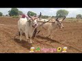 મામાએ વાવણી કરવાની શરૂઆત કરી sundar video vavani ka banaya hai ખેડૂતપુત્ર vimal_gadhavi