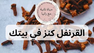 10 استخدامات للقرنفل أو المسمار هتغير حياتك حرفيا