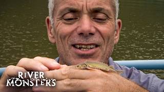 Jeremy Wade catches fish that keep GETTING BIGGER with every cast | River Monsters