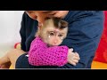 Monkey Tina shows gratitude to her mother when she dresses her warmly in winter.