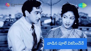 Vaadina Poole-వాడిన పూలే వికసించేనే-Mangalya Bhalam-ANR-Savithri