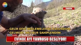 Evinde ayı yavrusu besliyor!