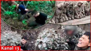 Compilation video of Kursk operation, capture of Russian and North Korean soldiers