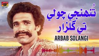 Tuhinje Cholay Te Gulzari (Sehro)  | Arbab Solangi | Vol 1 | TP Sindhi