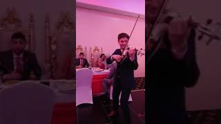 Asian Wedding Bride & Groom ft. Darius Electric Violinist #Shorts