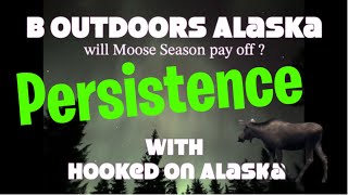 2 Week DIY Moose Hunt Success  in Alaska?