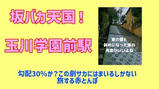 玉川学園前駅は激坂聖地