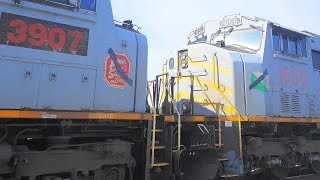 Rare TFM \u0026 KCS EMD Gray Ghosts on CSX Freight Train 4K