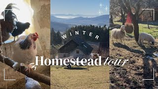 1.75 acre Homestead Tour: What homesteading looks like in Winter | Austrian Homestead