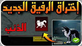 استعراض رفيق جديد (الذئب) PUBG MOBAILE WOLF