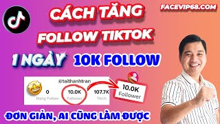 ✅ CÁCH TĂNG FOLLOW CHO TIKTOK đơn giản, chi tiết, ai cũng làm được | Tống Ngọc Điệp