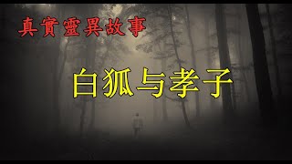 白狐与孝子《真實靈異故事》報恩故事//中國民間故事//鬼故事