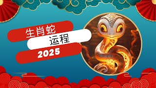 【2025生肖蛇运势全了解】，事业、财富、爱情、健康等多个维度，全面了解你2025年的运势走向