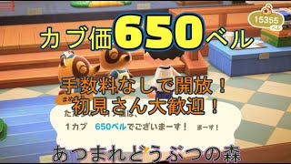 カブ価650ベル、642ベルの島を無償開放！ 往復OK！初見さん大歓迎！ 【あつまれどうぶつの森】【ライブ配信】