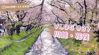 VLOG #37 埼玉川越 | 新河岸川 絕美櫻花花筏 | 川越冰川神社 | 可愛的金魚水蜜桃梳打 | 2023花見系列 #川越 #櫻花