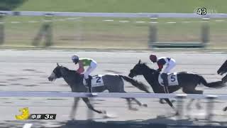 2025年1月13日中京3R 3歳未勝利　ダート1900m ジーティーアメリカ