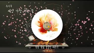 뮤지쿡 - 세상 가장 귀한 꽃 [Lyric Video I 리릭 비디오]