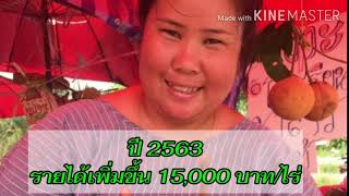 ผลงานแปลงใหญ่กระท้อนคลองน้อยปี 2563 เป็นปีที่ 1