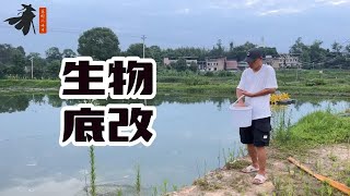 对虾养殖中为什么高温季节尽量少用生物底改？