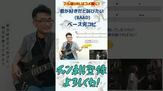 君が好きだと叫びたい（BAAD）（演奏してみた ベース 弾いてみた カバーしてみた Bass スラムダンク アニソン SLAM DUNK）@rinamasa #shorts