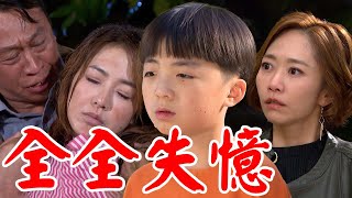 一家團圓│EP262 全全終於醒過來卻失憶 曹鳳充當生母欺瞞雅芳存在  Family Reunion│ Vidol.tv