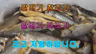 알배기 파조기 크고 저렴하답니다.