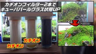 【アクアリウム】カチオンフィルターをダブルにするとキューバパールグラスは綺麗に育つのか？#水草水槽 #aquarium #ネイチャーアクアリウム #カチオンフィルター#軟水