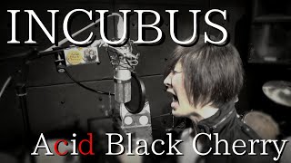 【歌ってみた】「INCUBUS」Acid Black Cherry【まいぼく Re-ji】