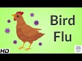 Bird Flu(Avian Influenza), Causes, Signs and Symptoms, Diagnosis and Treatment.