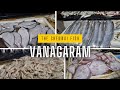 வானகரம் மீன் மார்க்கெட் விலை நிலவரம் | 12/12/24 | Vanagaram Fish Market #fishmarket #thechennaifish