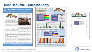 Dream Report Success Stories