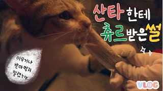 [Eng 산타의 정체] 이제는 말할 수 있다. 전지적 산타 시점🎅🏻 어린이들 절대 클릭 금지 🚫