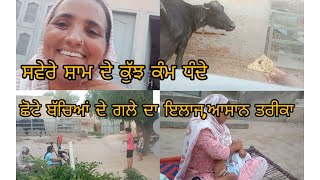 ਸਵੇਰੇ ਸ਼ਾਮ ਦੇ ਕੁੱਝ ਕੰਮ ਧੰਦੇ, ਛੋਟੇ ਬੱਚਿਆਂ ਦੇ ਗਲੇ ਦਾ ਇਲਾਜ,ਆਸਾਨ ਤਰੀਕਾ #viralvideo #pindvloge #busylife